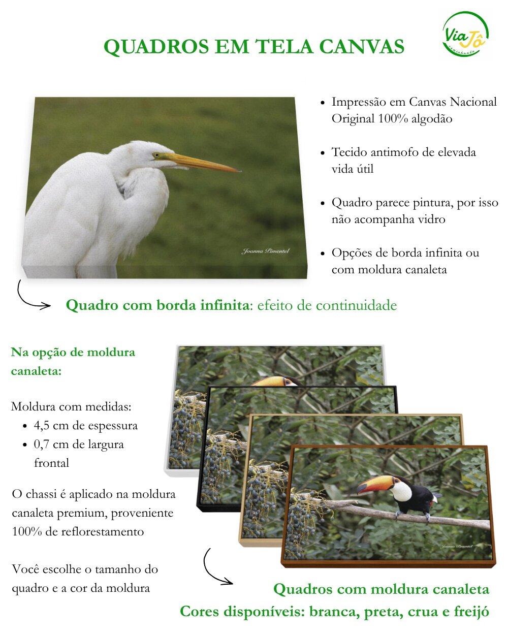 informações Canvas